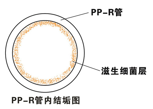 PP-R滲氧，易滋生細菌，有異味；腐蝕金屬連接件，降低使用壽命
